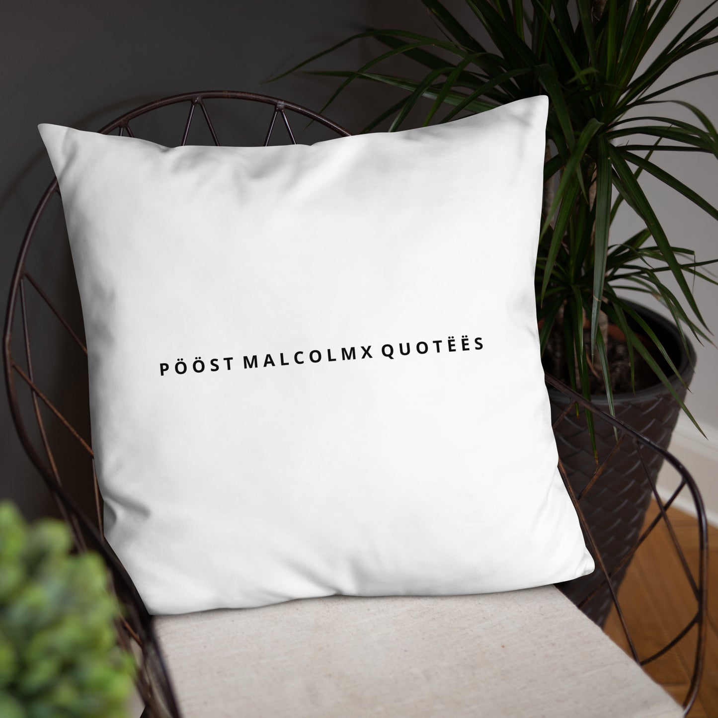 Basic Pillow post malcolm and mlk