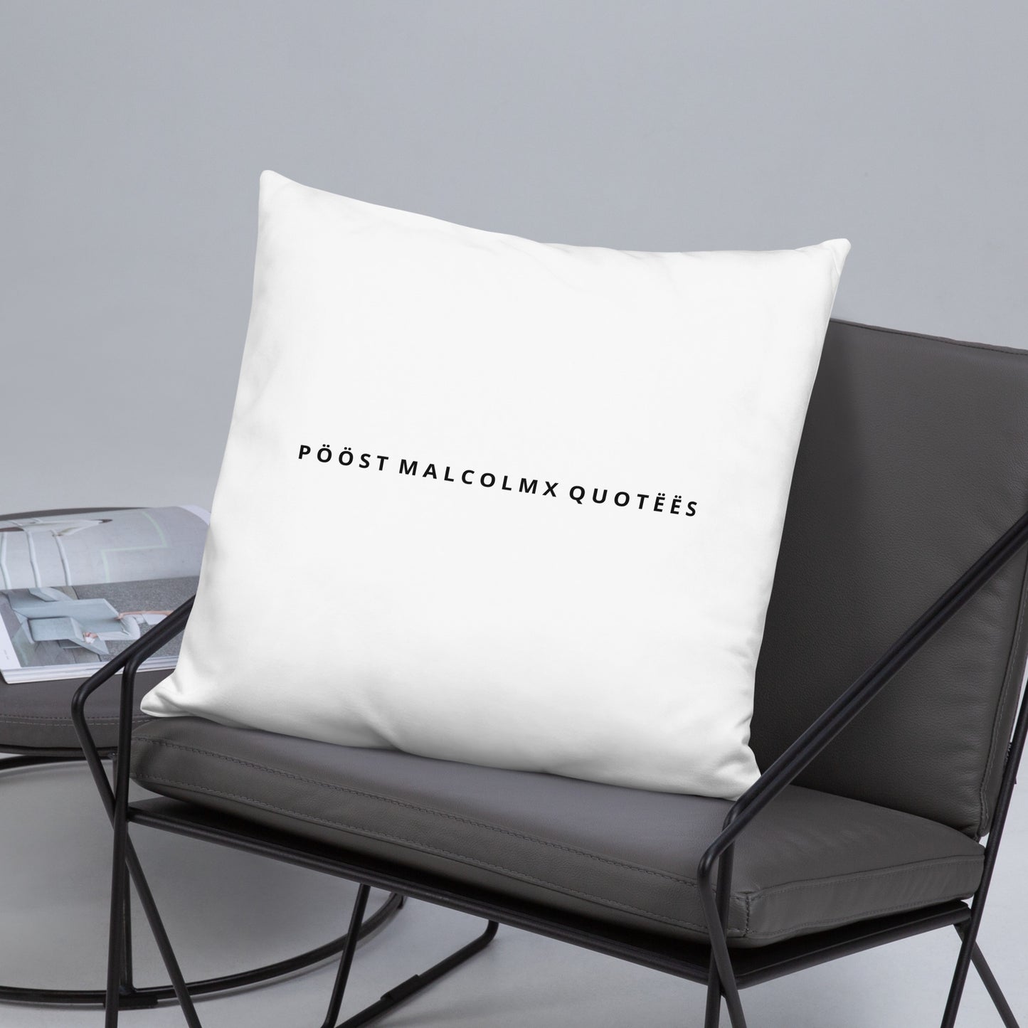 Basic Pillow post malcolm and mlk