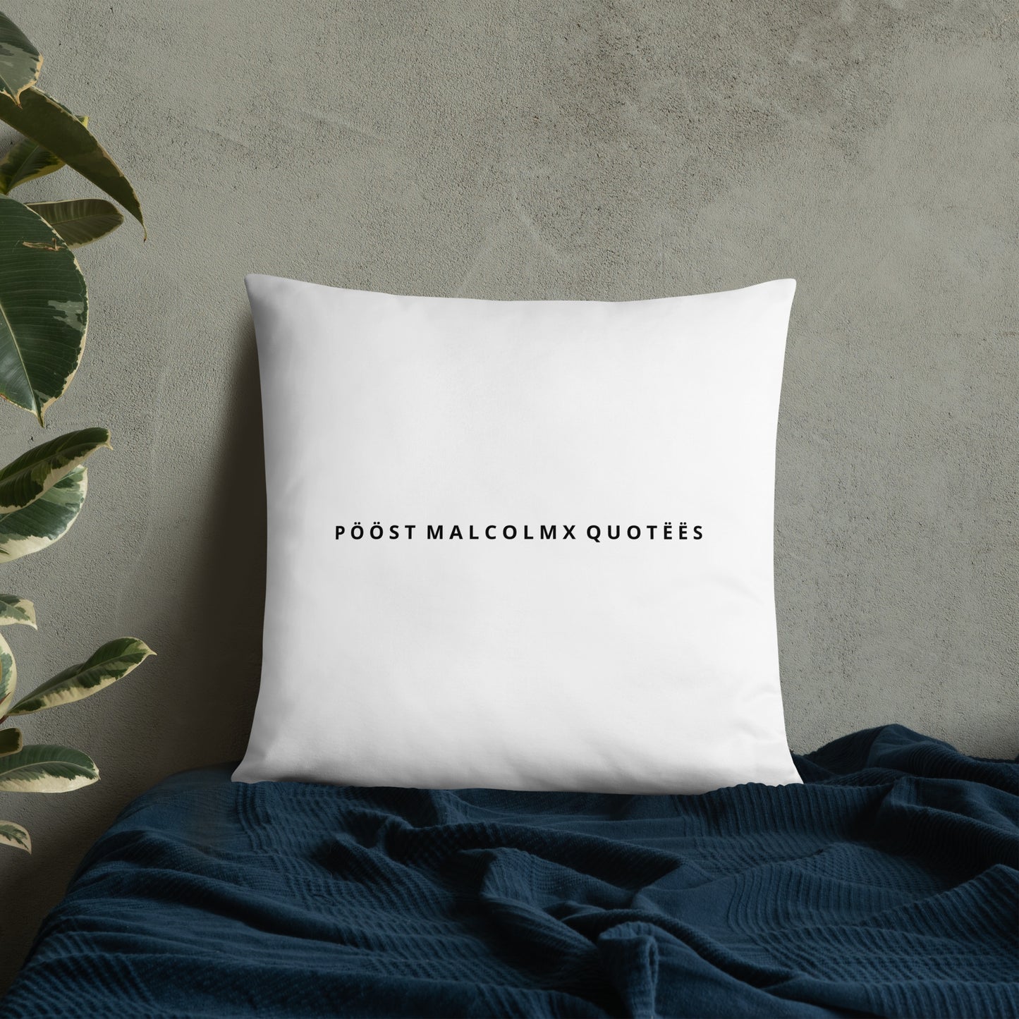 Basic Pillow post malcolm and mlk
