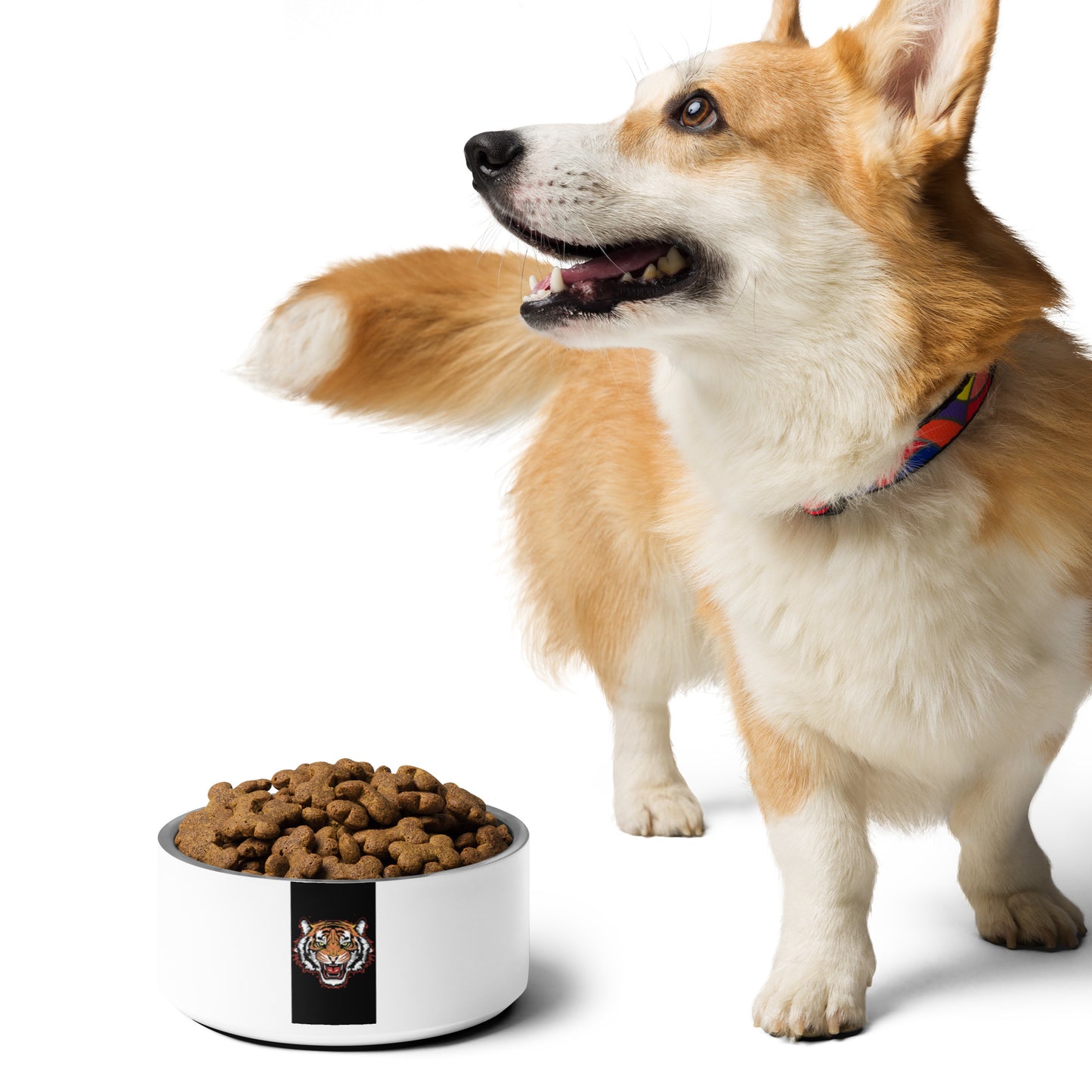 Pet bowl