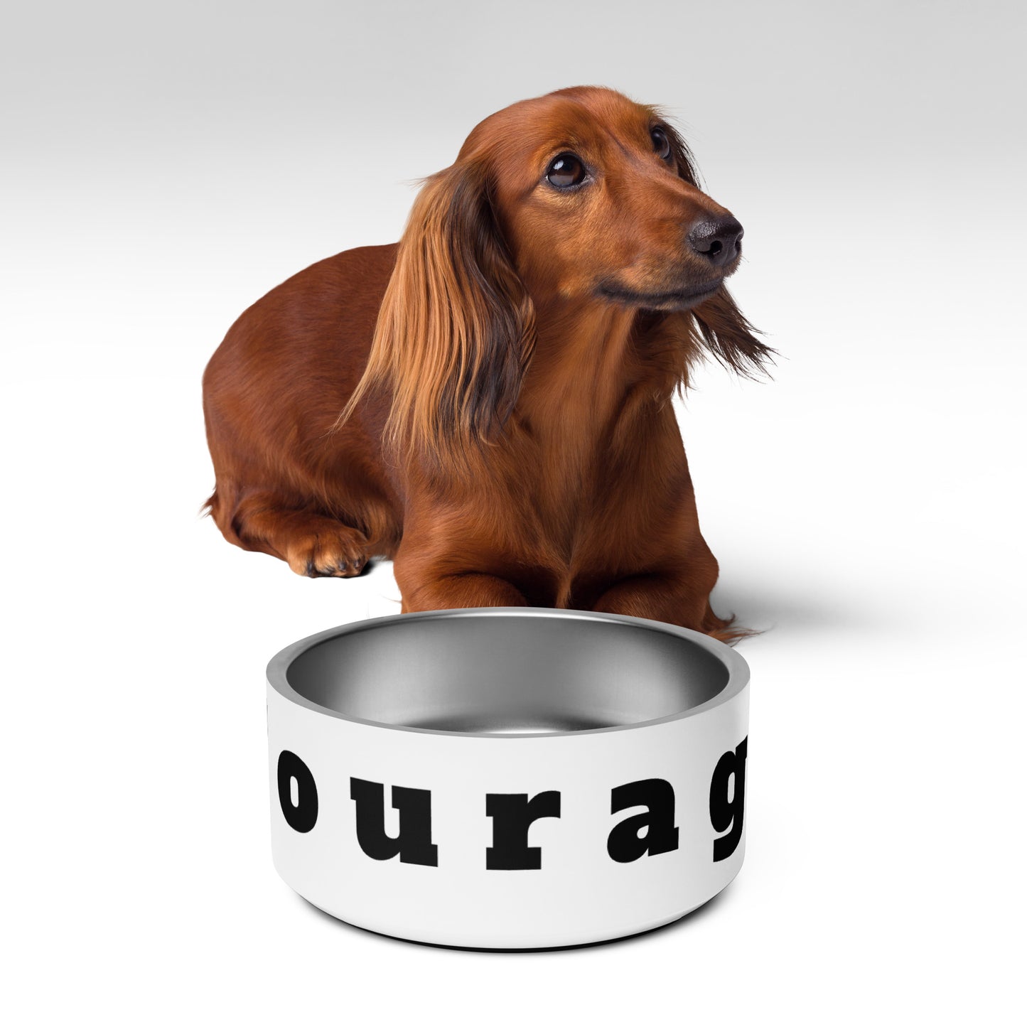 Pet bowl