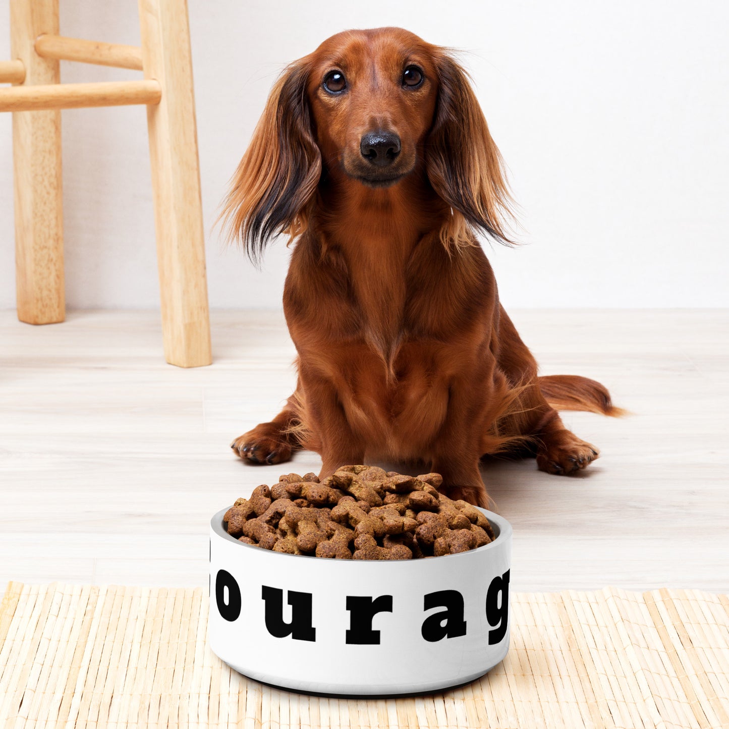 Pet bowl