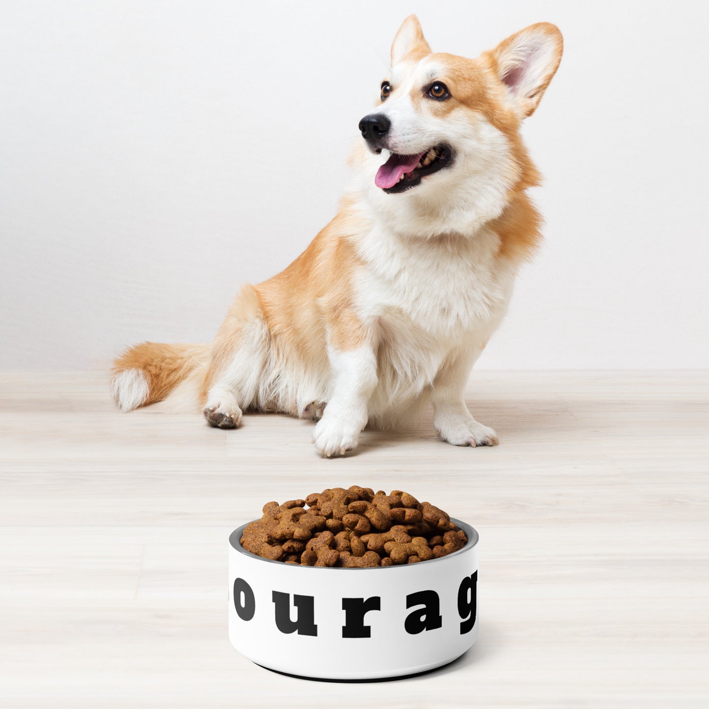 Pet bowl