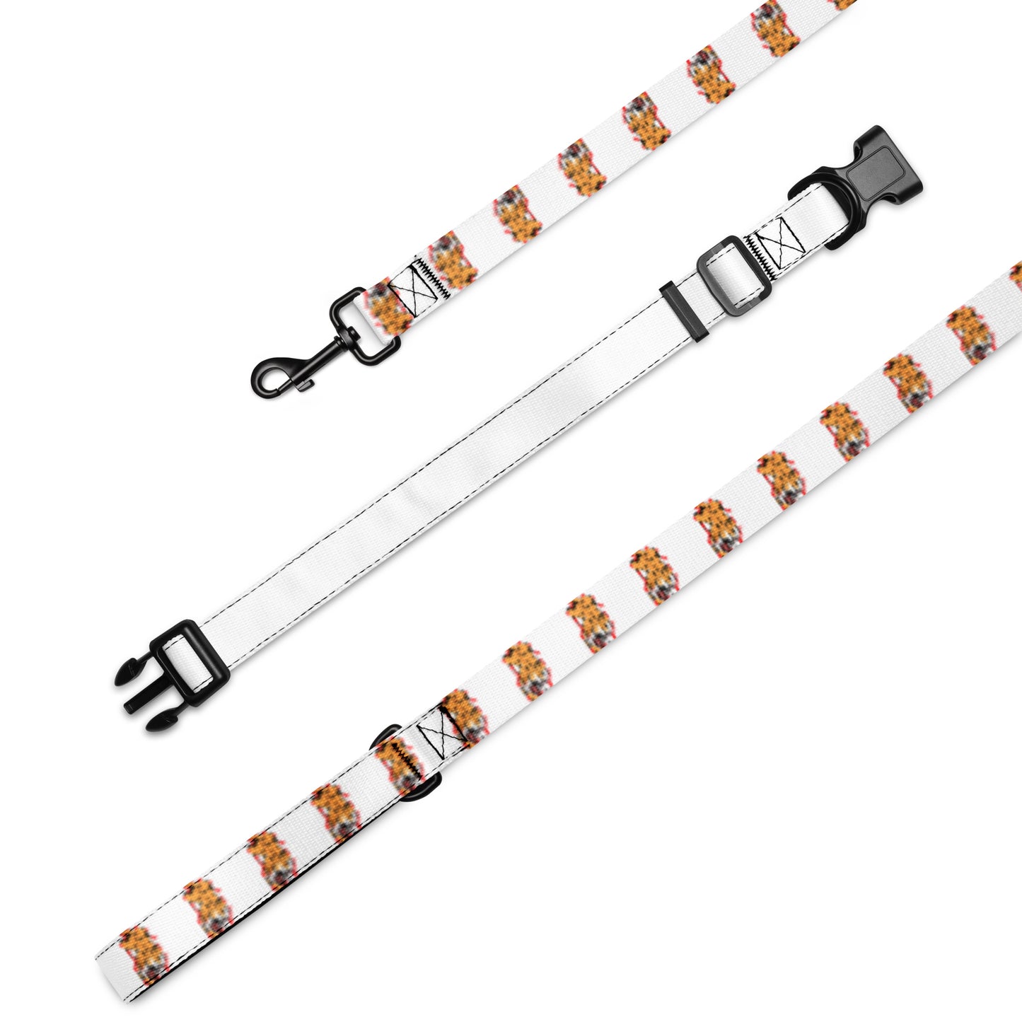 Pet collar & leash tiger