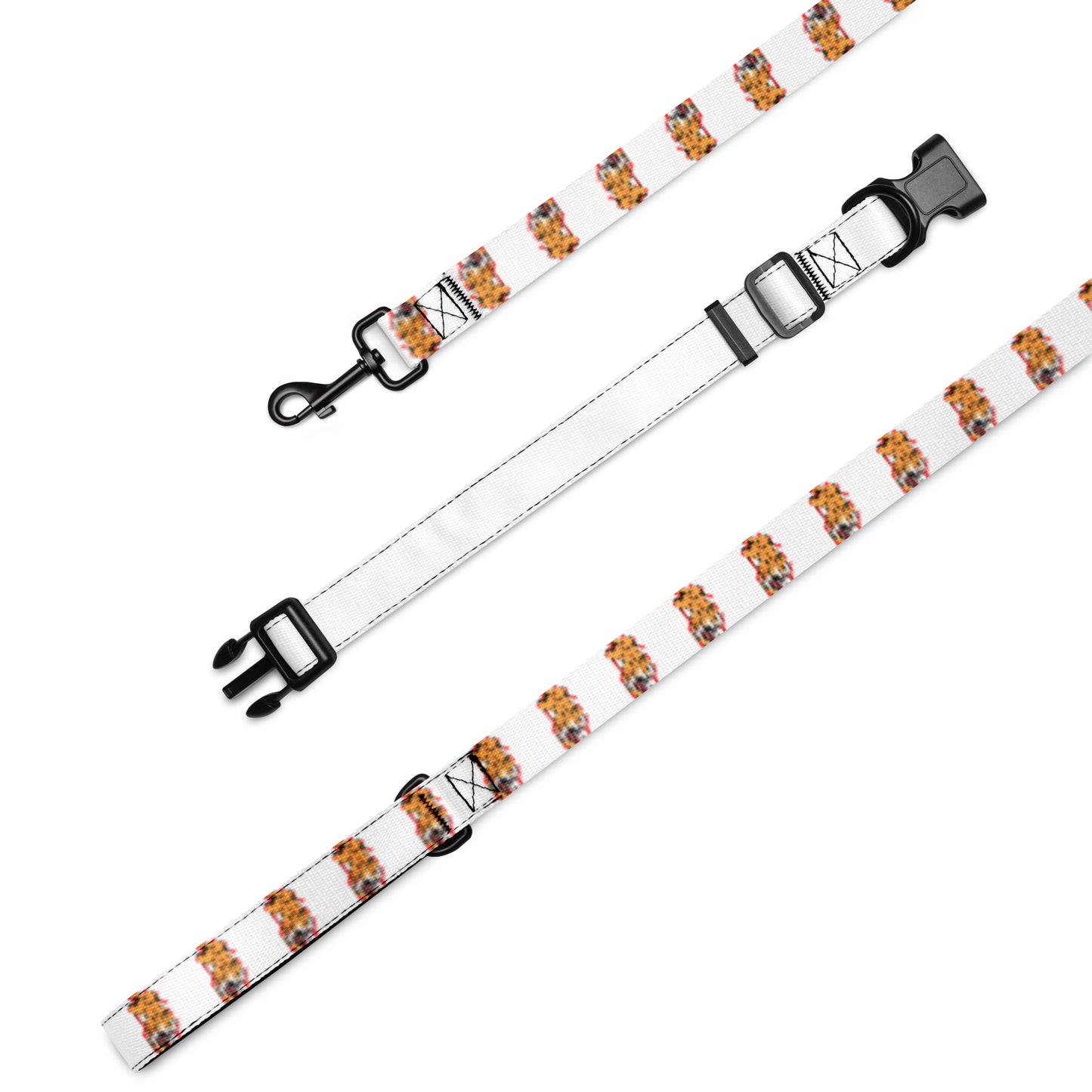 Pet collar & leash tiger