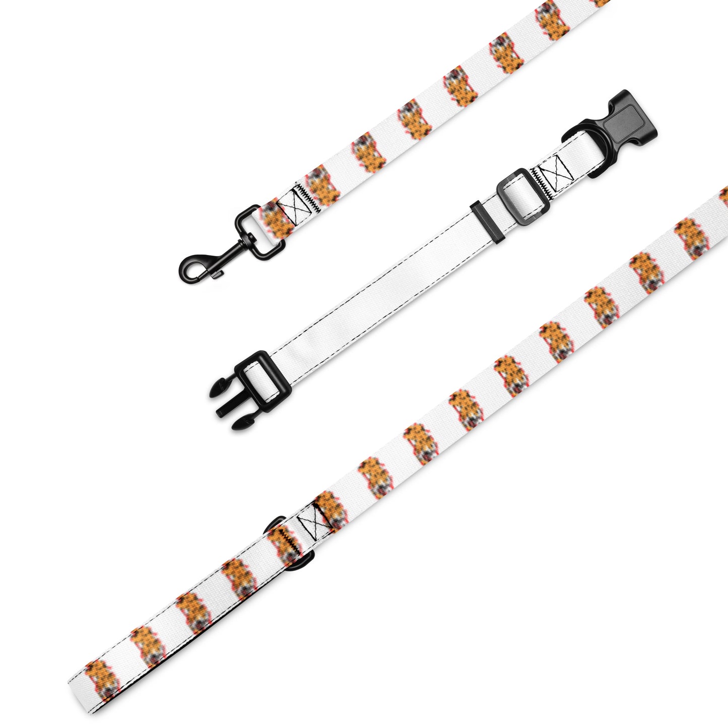 Pet collar & leash tiger