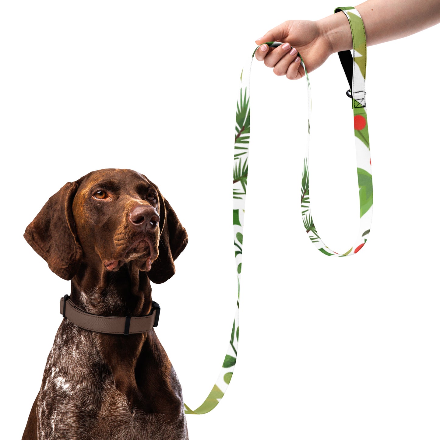 Pet leash
