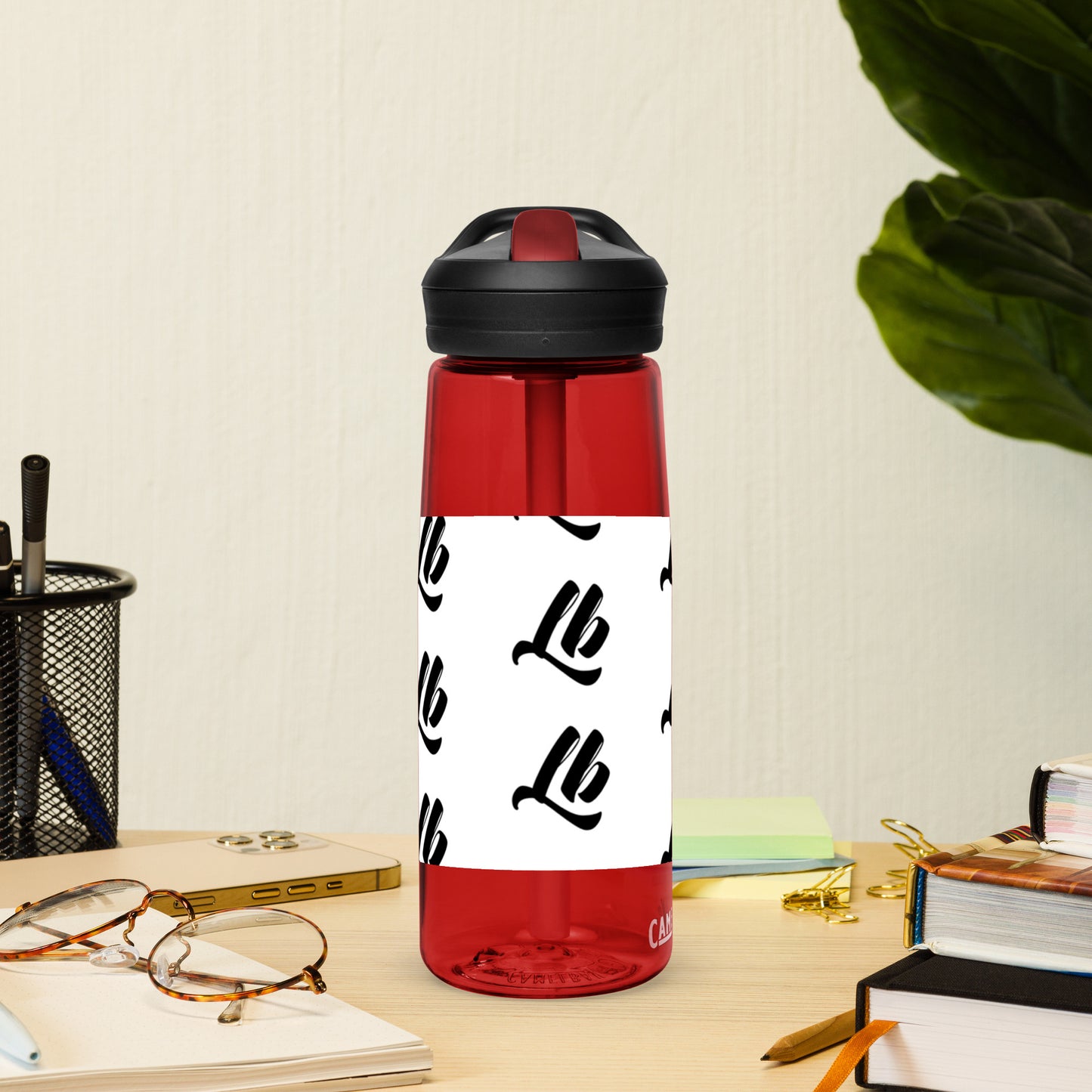 Sports water bottle
