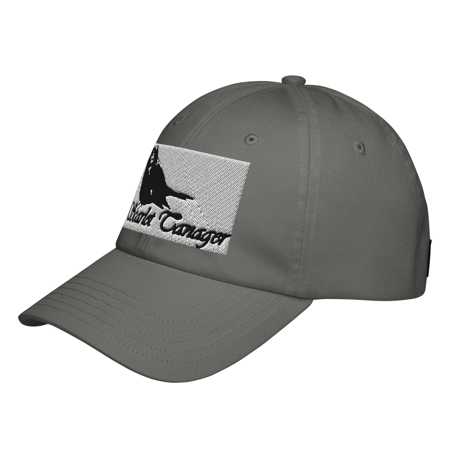 Under Armour® dad hat