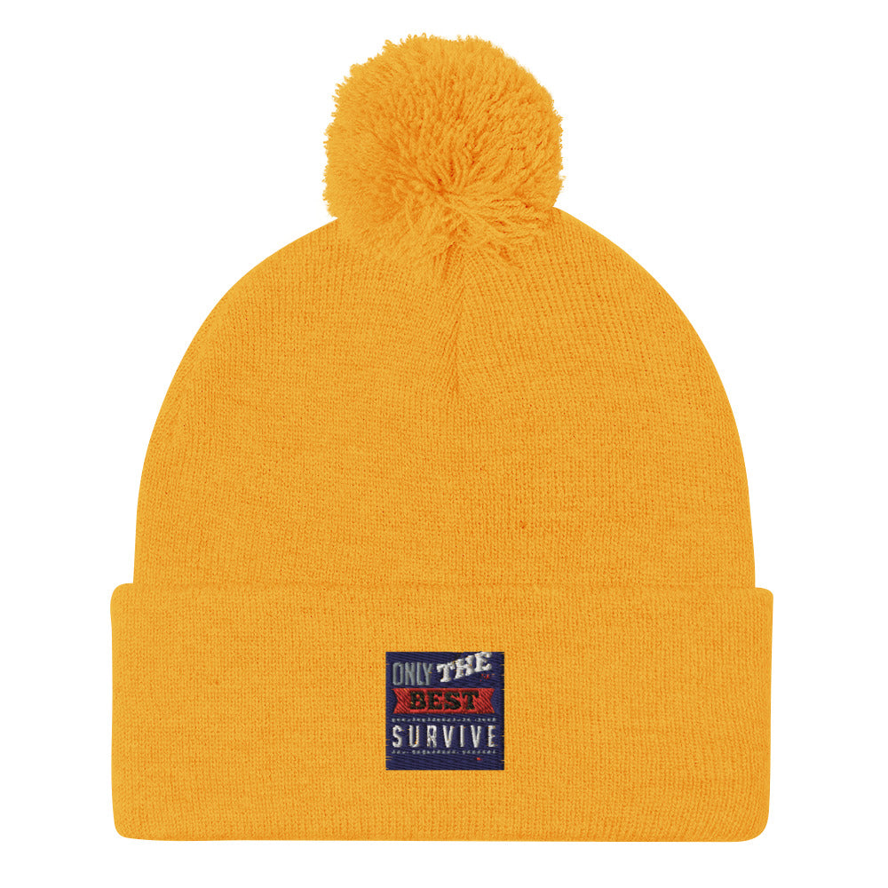 Pom-Pom Beanie