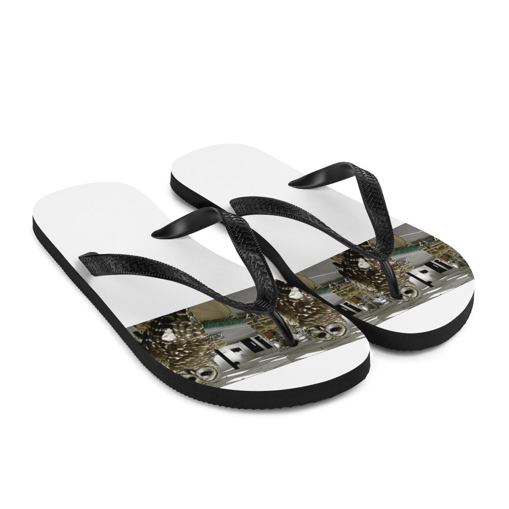 Flip-Flops