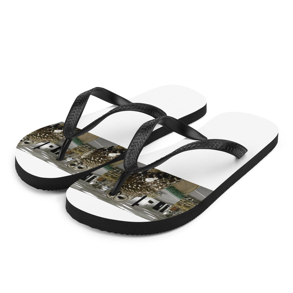 Flip-Flops