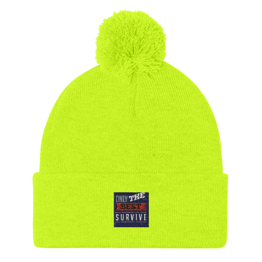 Pom-Pom Beanie