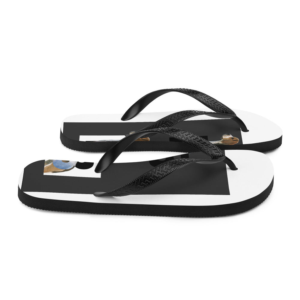 Flip-Flops