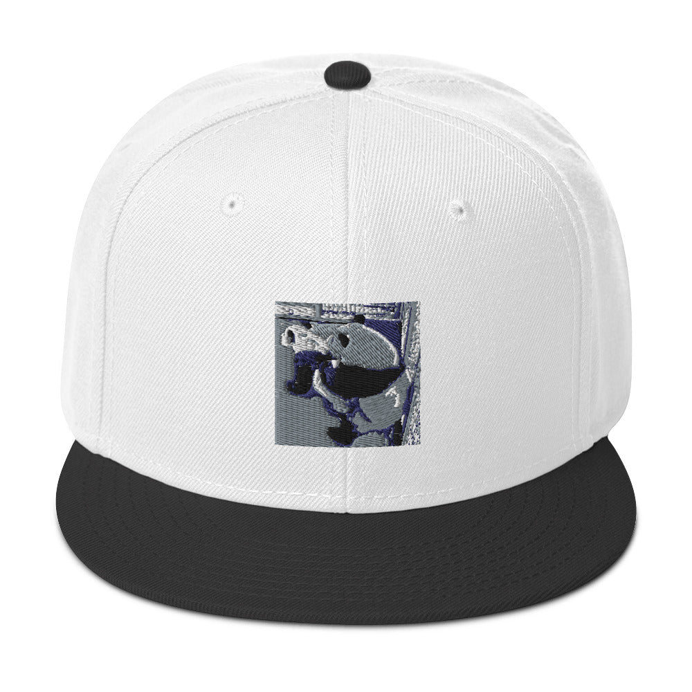 Snapback Hat