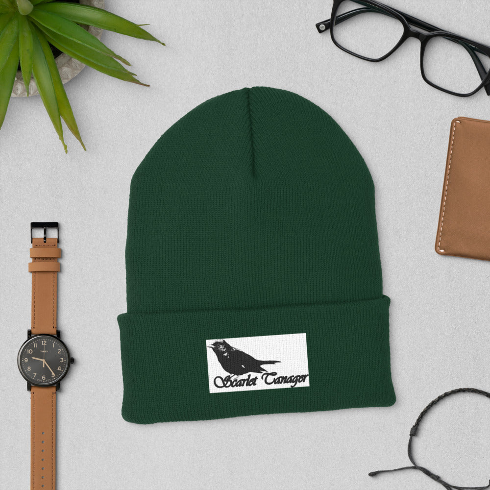 Cuffed Beanie
