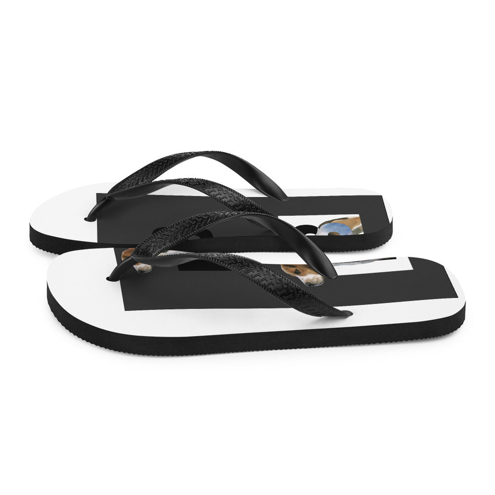 Flip-Flops