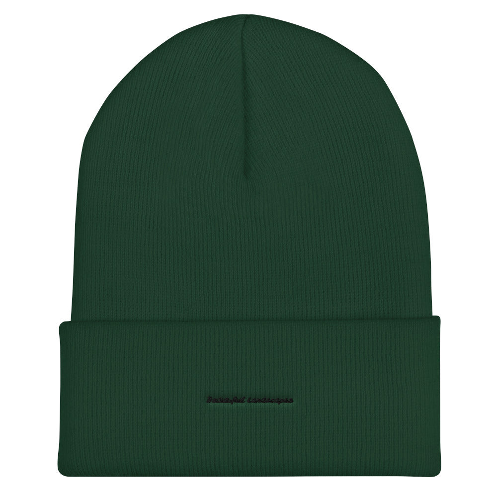 Cuffed Beanie Landscspes clothing