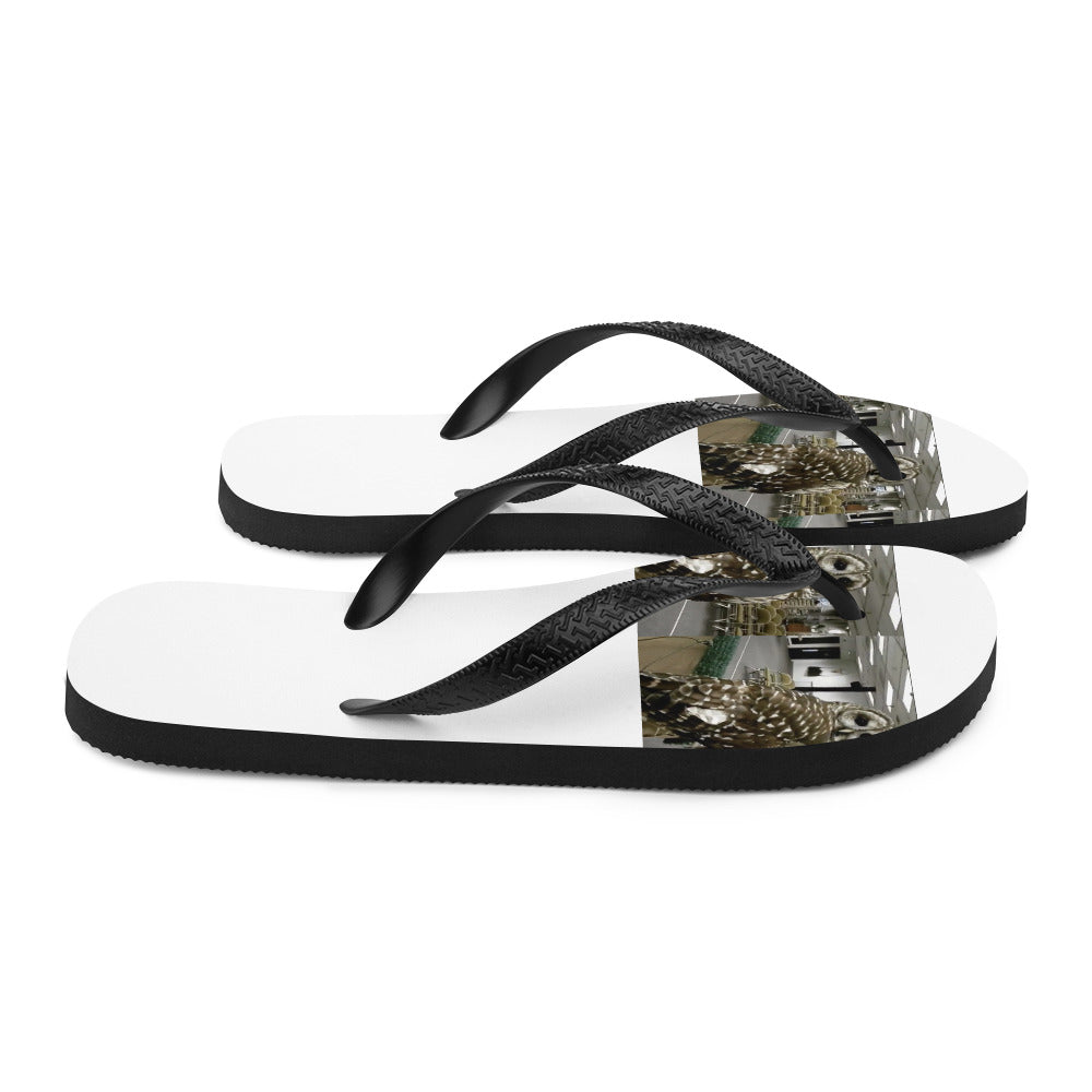 Flip-Flops