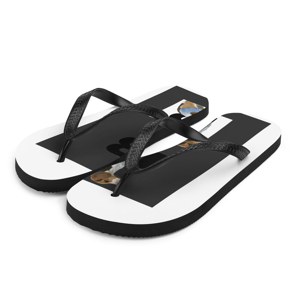 Flip-Flops