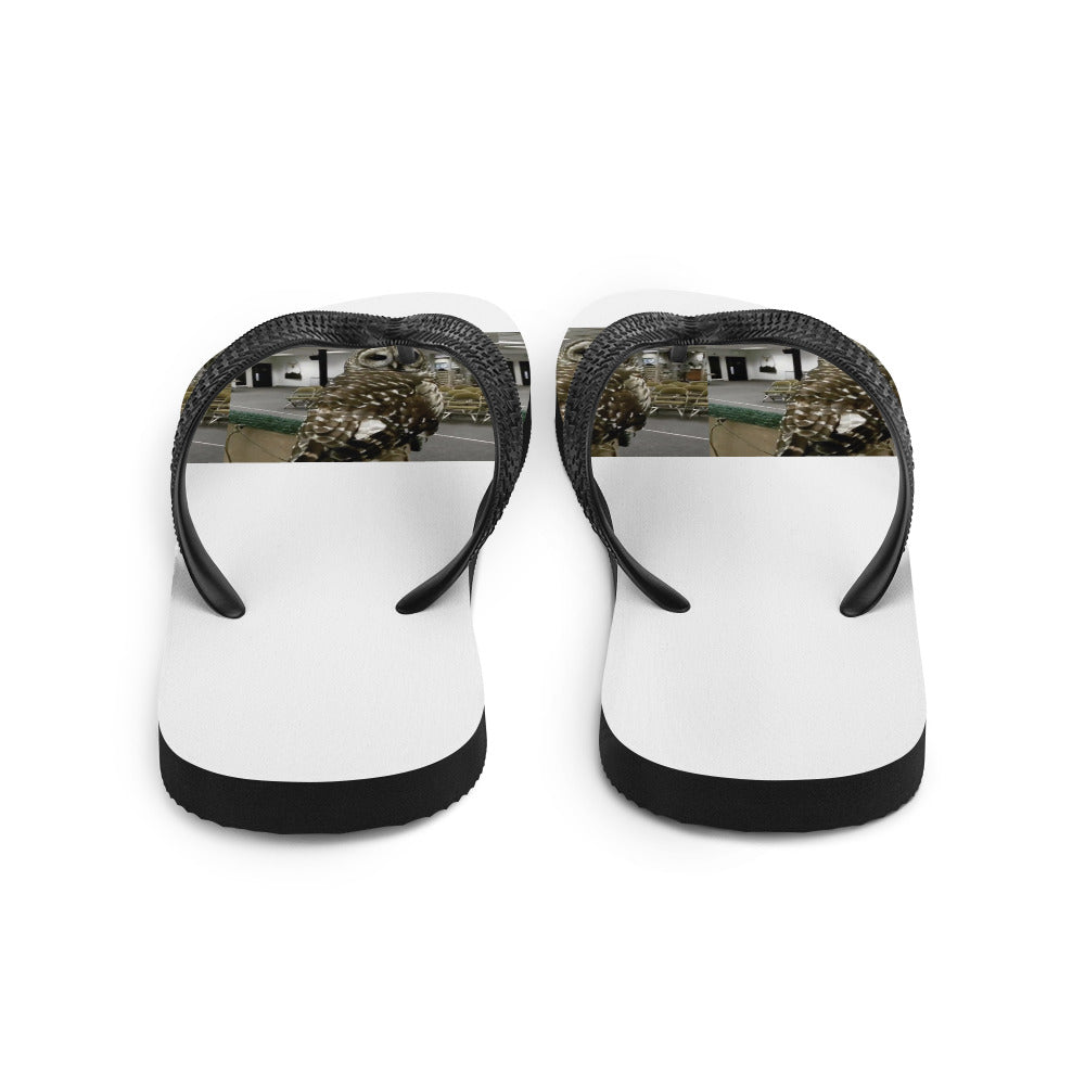 Flip-Flops