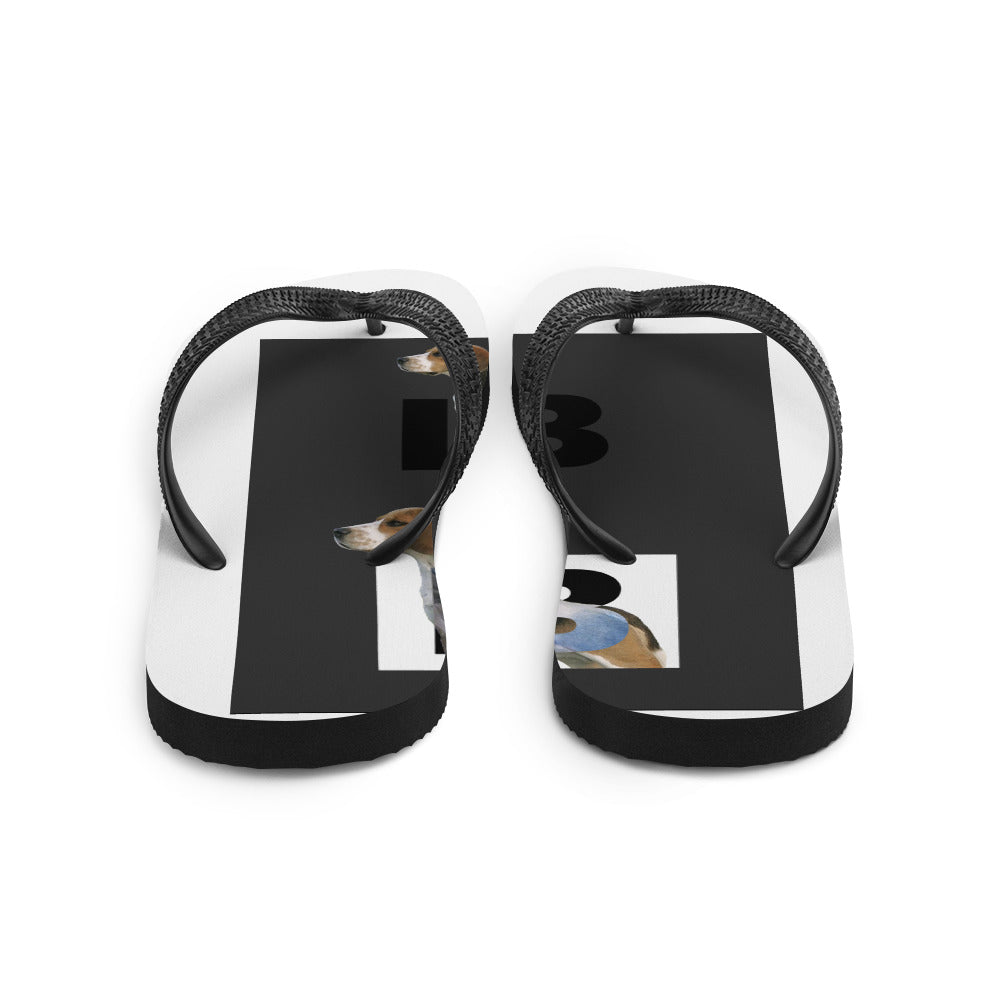 Flip-Flops