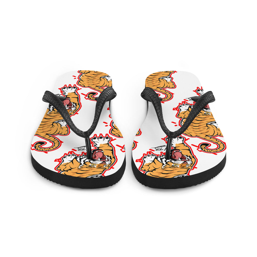 Flip-Flops