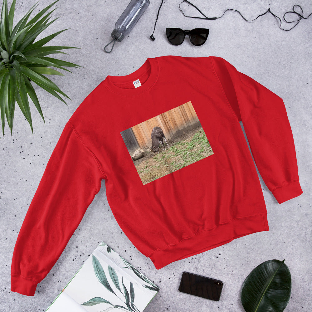Unisex Sweatshirt