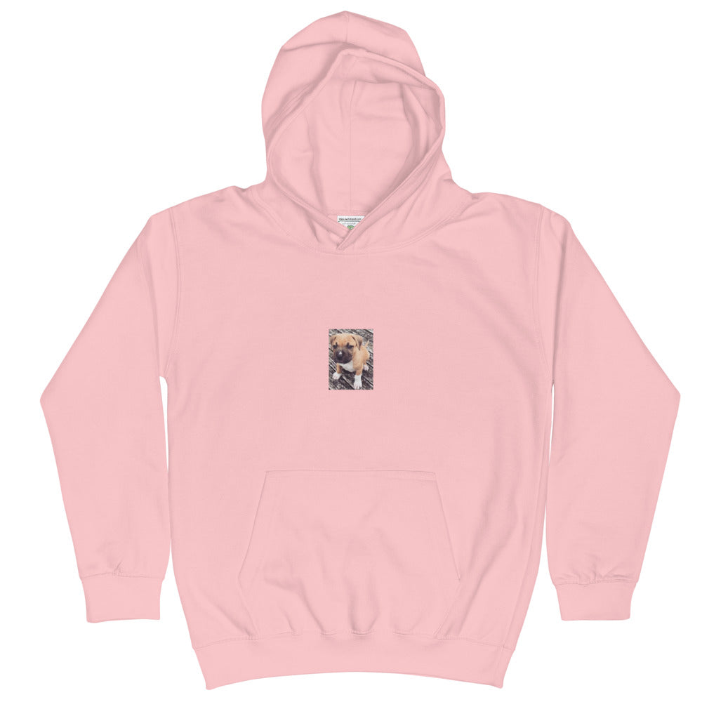 Kids Hoodie puppy money