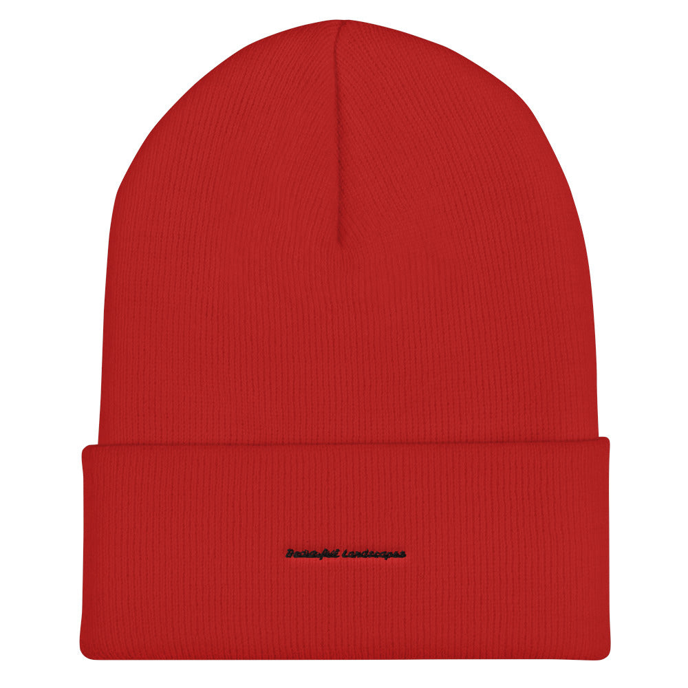Cuffed Beanie Landscspes clothing