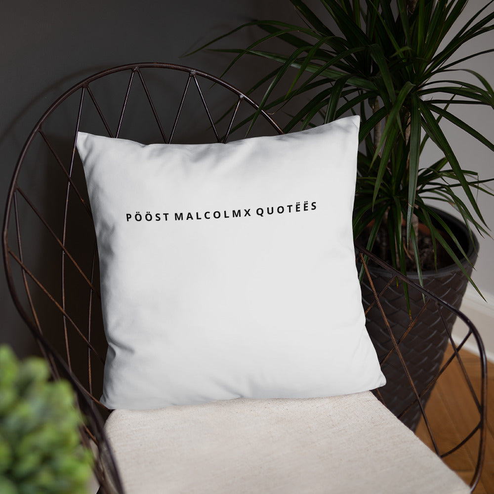 Basic Pillow post malcolm and mlk