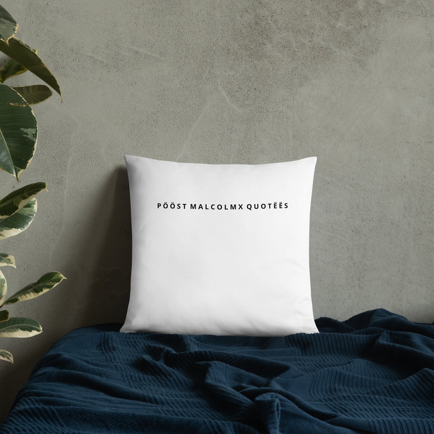 Basic Pillow post malcolm and mlk