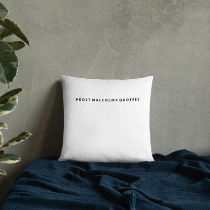 Basic Pillow post malcolm and mlk