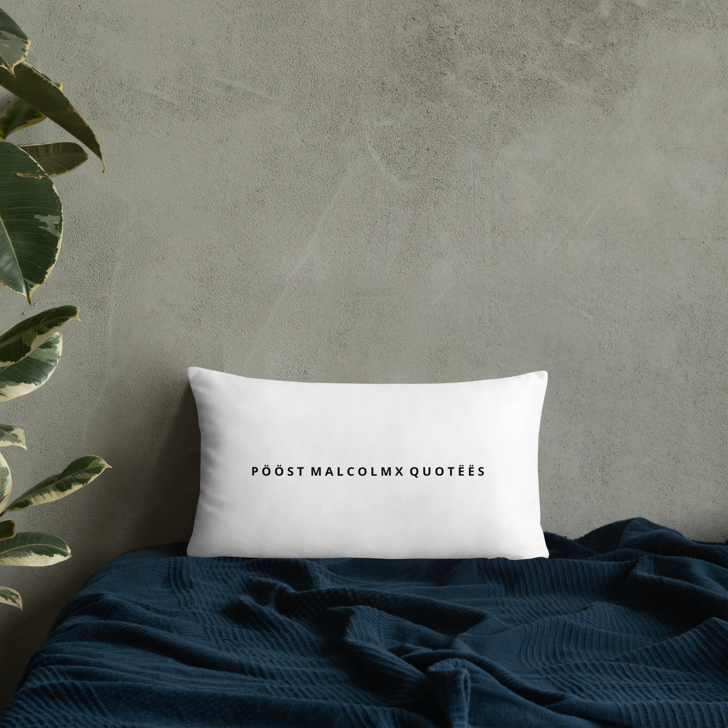 Basic Pillow post malcolm and mlk