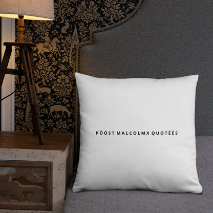 Basic Pillow post malcolm and mlk