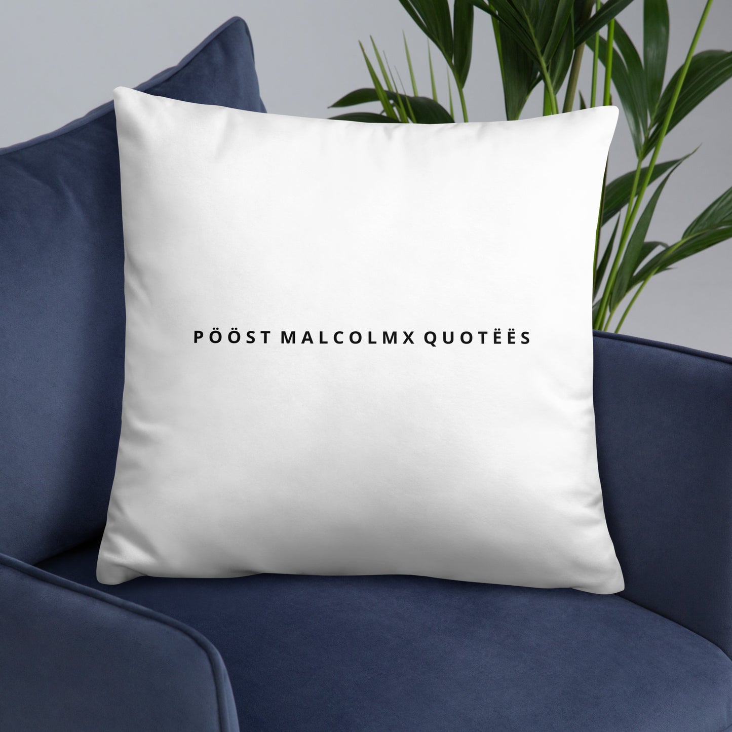 Basic Pillow post malcolm and mlk