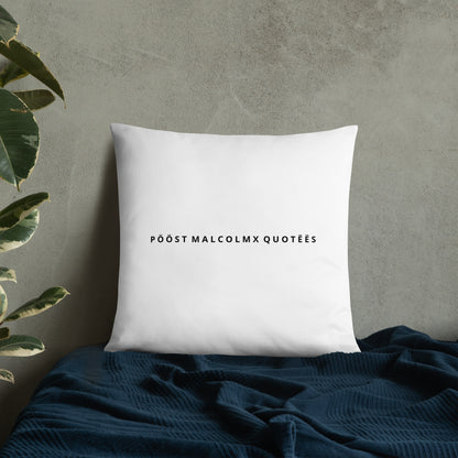 Basic Pillow post malcolm and mlk