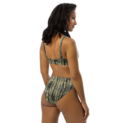 Recycled high-waisted bikini takee risks