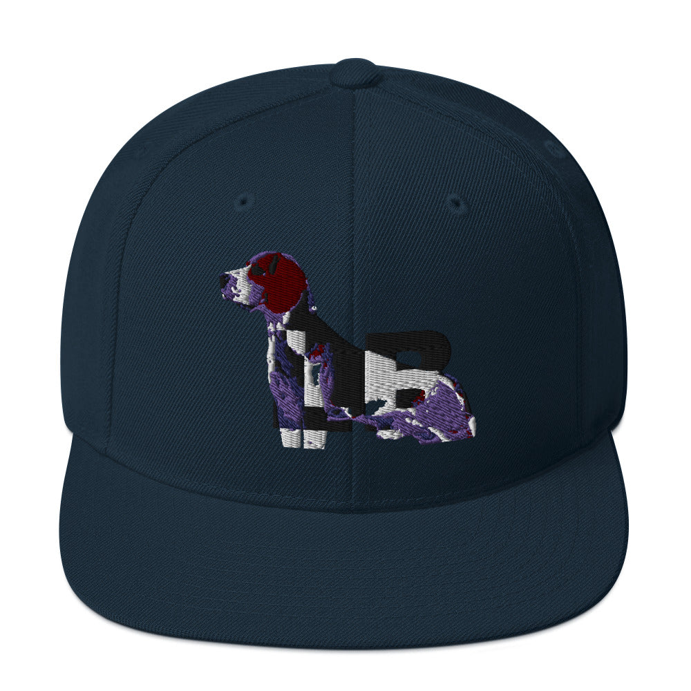 Snapback Hat