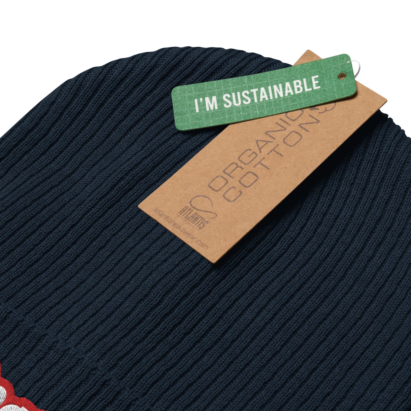 Organic ribbed beanie