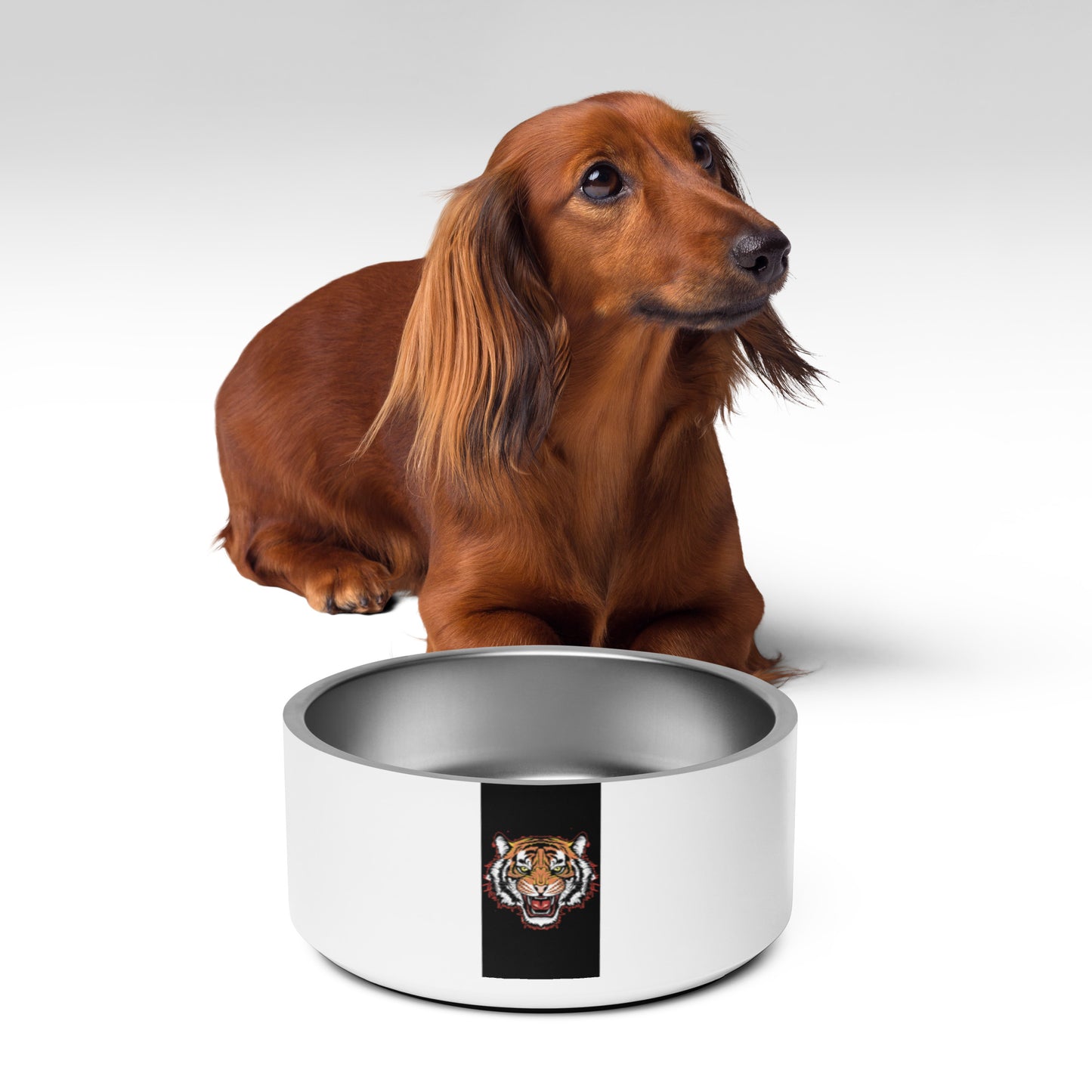 Pet bowl