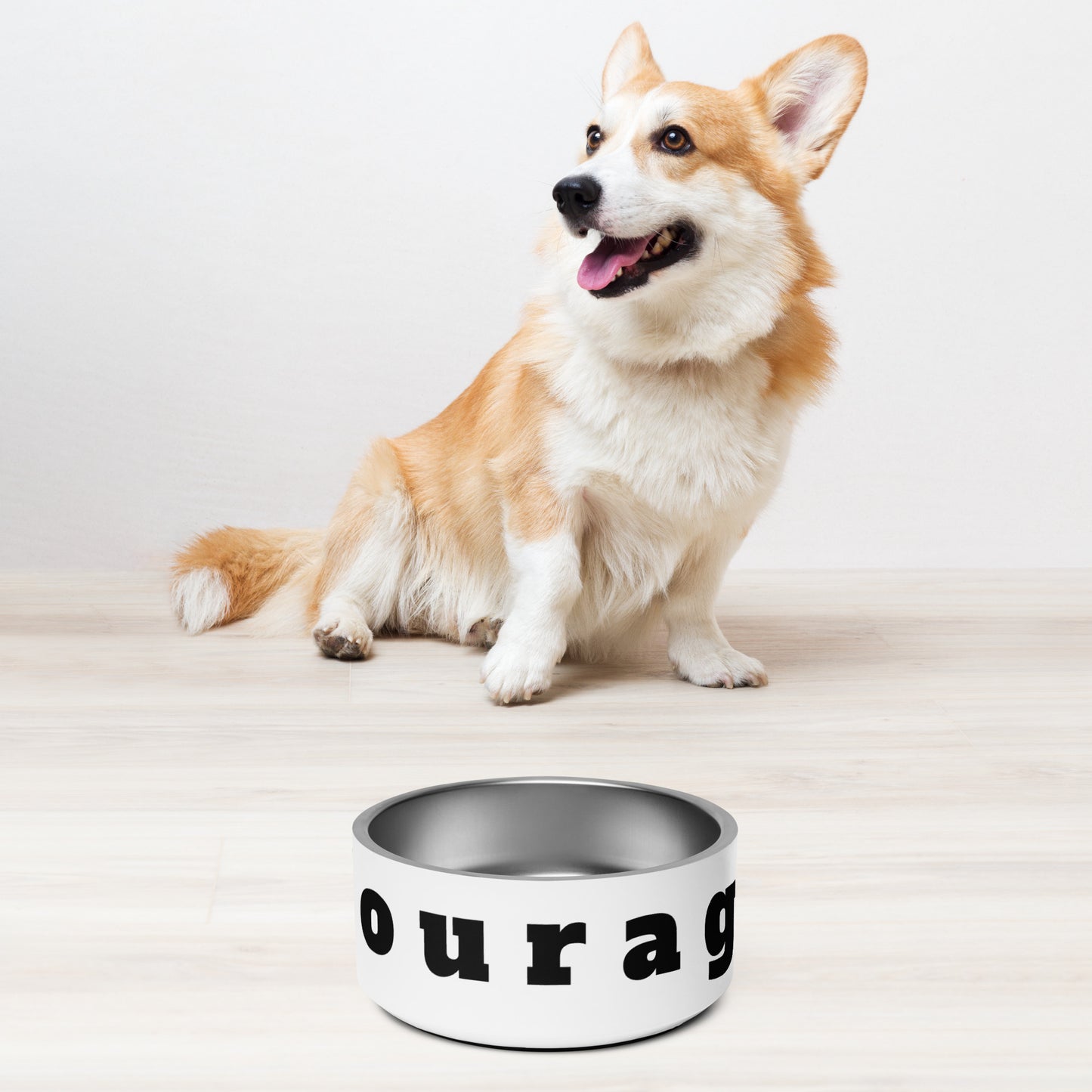 Pet bowl