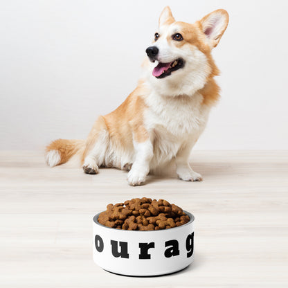 Pet bowl