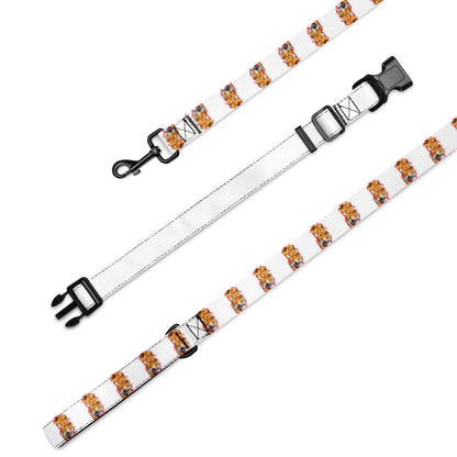 Pet collar & leash tiger