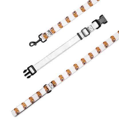 Pet collar & leash tiger