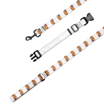 Pet collar & leash tiger