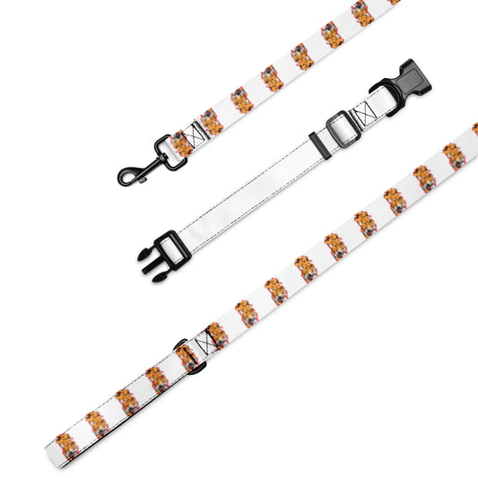 Pet collar & leash tiger