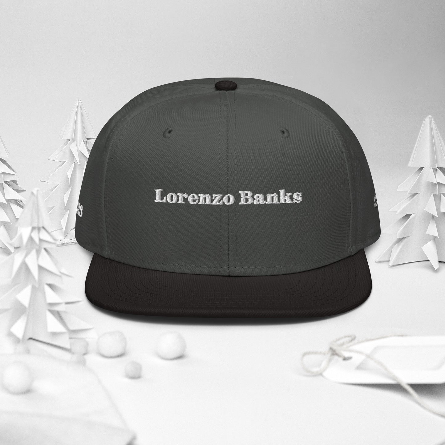 Snapback Hat