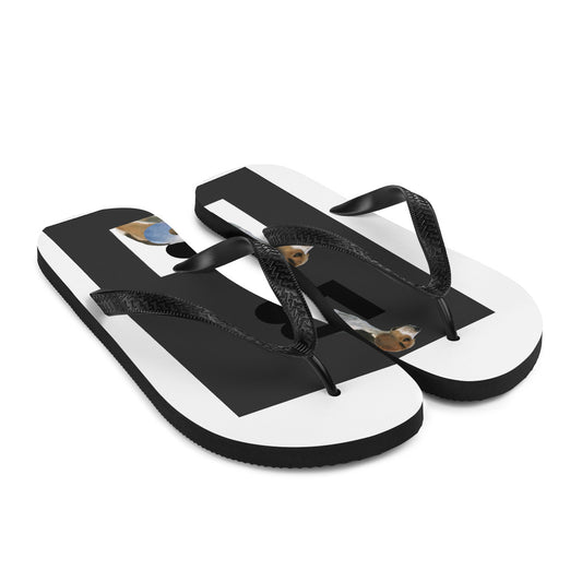 Flip-Flops