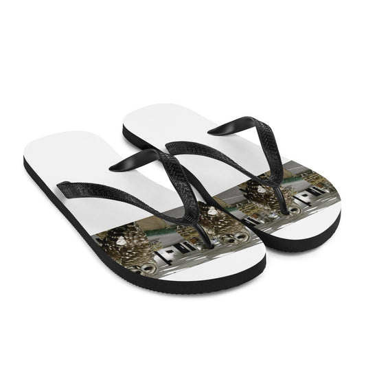 Flip-Flops